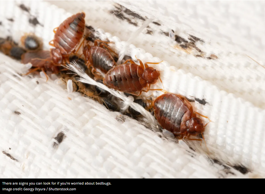 Ren Ecosystem. The Gross Reason Why Putting Your Luggage In The Bathtub