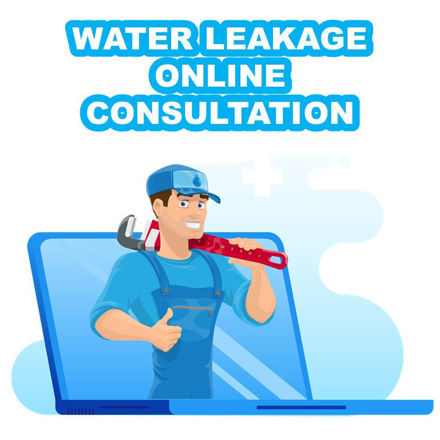 Picture of Water Leakage Video Consultation