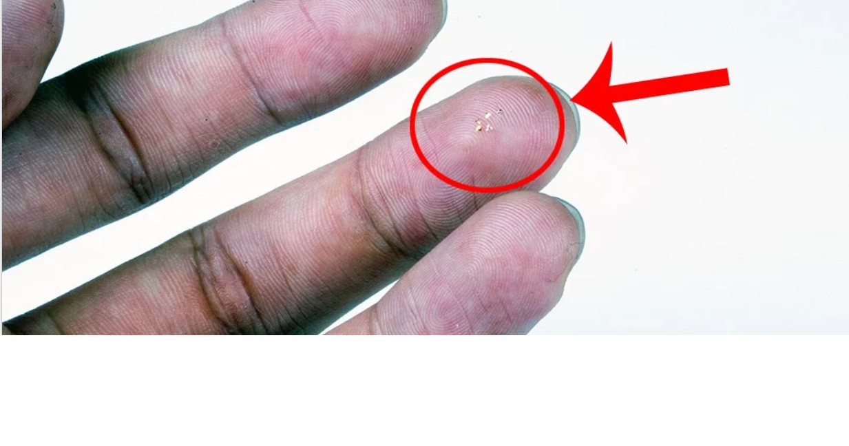 Picture of This Microchip With Wings Is The Smallest Flying Structure Humans Have Ever Built