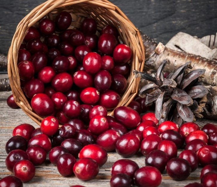 Ren Ecosystem. Heart Healthy Food Eating Cranberries Daily Improves