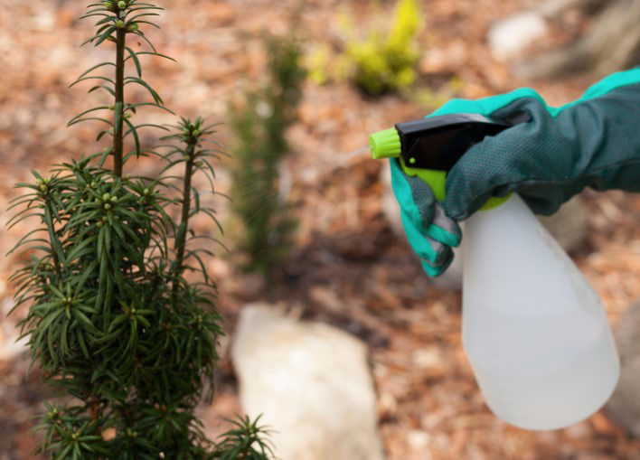 Ren Ecosystem. 7 Reasons Why Vinegar For Plants Is A Must