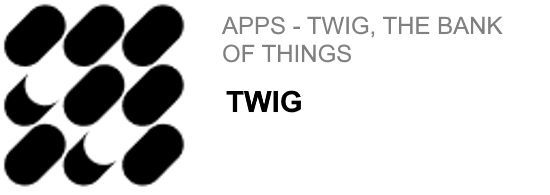 Picture of 2022 WCIA Series: Twig's apps instantly turns your unwanted items into cash