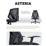 Picture of ASTERIA SERIES HIGH BACK  OFFICE CHAIR