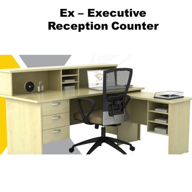 Picture of Ex – Executive Reception Counter