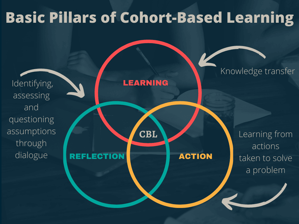 Ren Ecosystem. 5 Benefits of Cohort-Based Learning in the Workplace