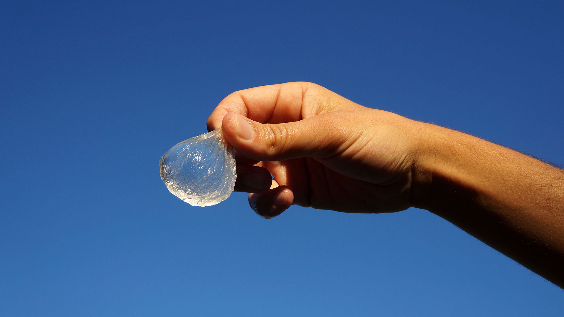 Ren Ecosystem. Edible Water Bottles The Future Of Drinks