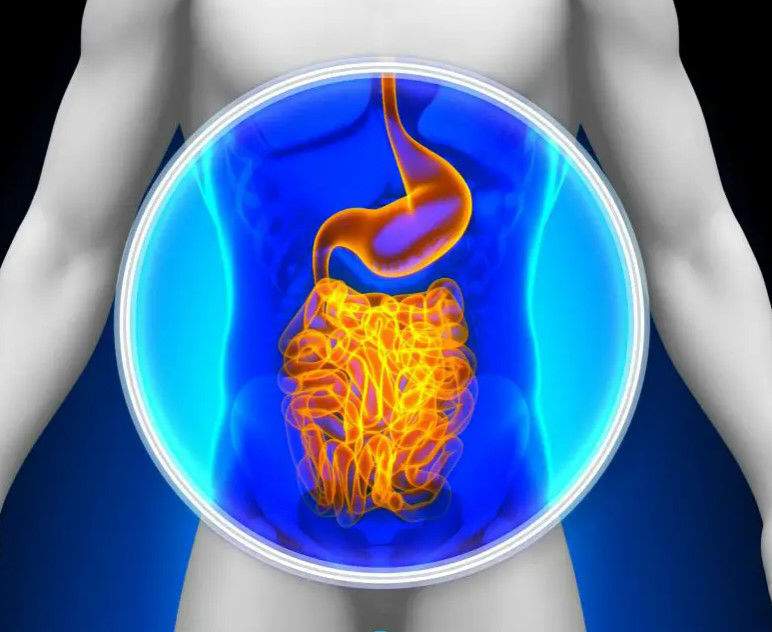 Ren Ecosystem. Warning Commercial Dishwashers Can Damage the Gut and