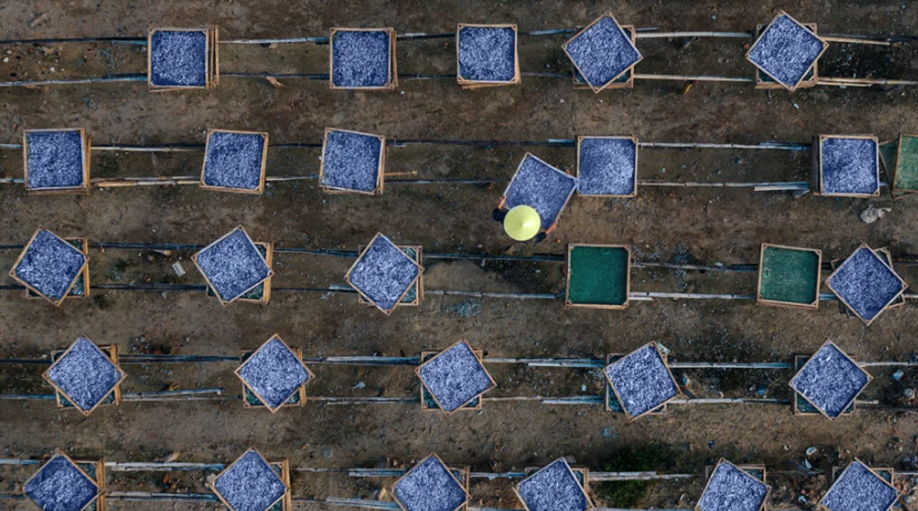 Ren Ecosystem. Omega3 fatty acids from seafood may lower the risk of