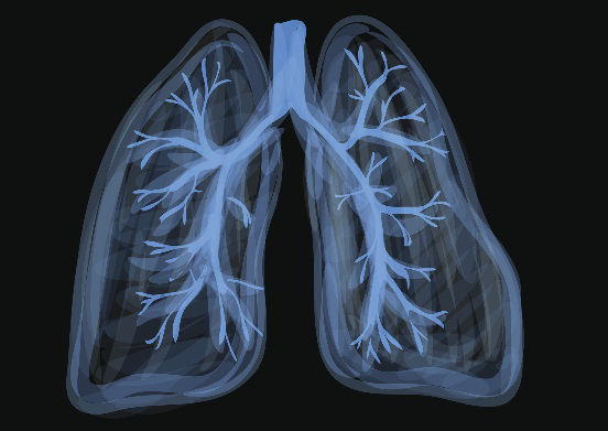 Picture of Can vaping damage your lungs? What we do (and don't) know