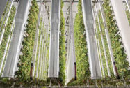 Picture of Robotic Bees Could Support Vertical Farms Today and Astronauts Tomorrow