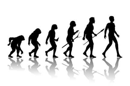 Picture of 6 Animals That Are Rapidly Evolving