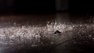 Picture of It's Time to Take Your Winter Allergies More Seriously
