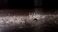 Picture of It's Time to Take Your Winter Allergies More Seriously