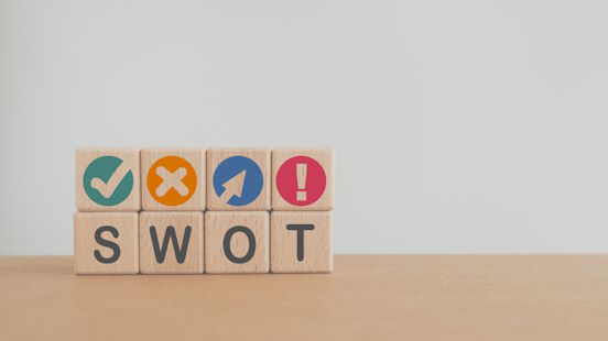 Ren Ecosystem. Use this SWOT to assess yourself