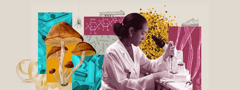 Picture of Toward truly compostable plastic