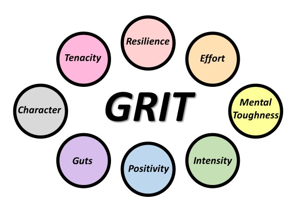 Picture of 12 Qualities of True GRIT