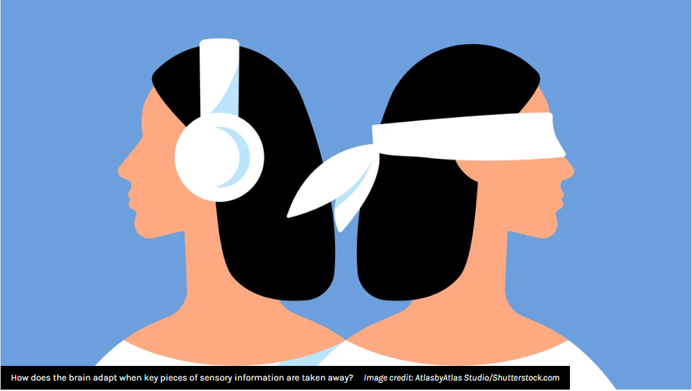 Picture of What Happens To Your Brain Under Sensory Deprivation?