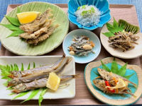 Ren Ecosystem. The Secret to Longer Life? Scientists Uncover Unexpected