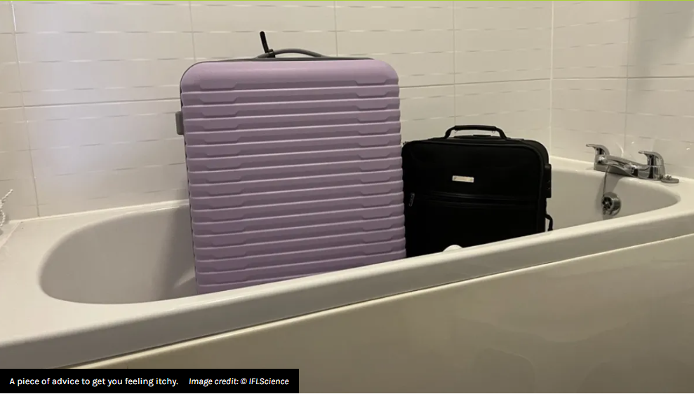 Ren Ecosystem. The Gross Reason Why Putting Your Luggage In The Bathtub