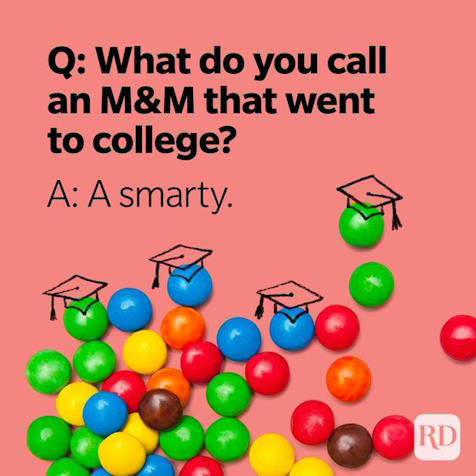 Picture of Funniest “What Do You Call?” Jokes (Part 2)