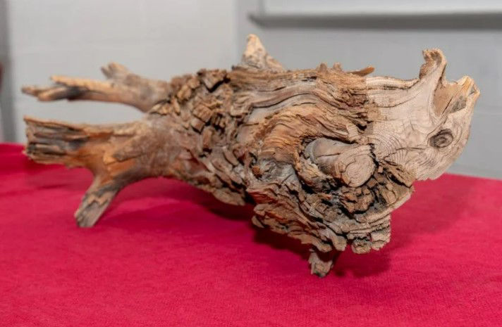 Picture of Unearthed After 3,775 Years: Ancient Wood Discovery Sparks Climate Change Breakthrough