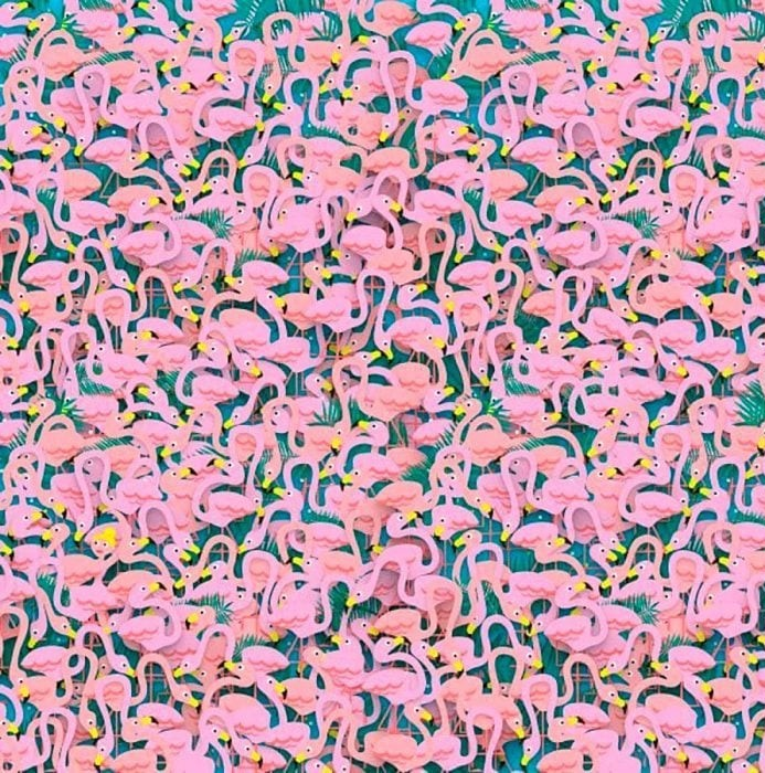Picture of Find the Hidden Dancer