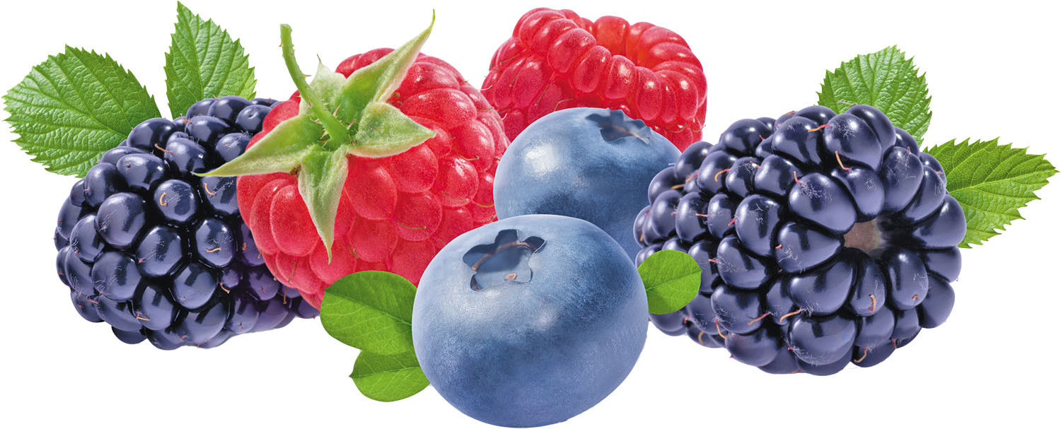 Ren Ecosystem. Fighting inflammation with food