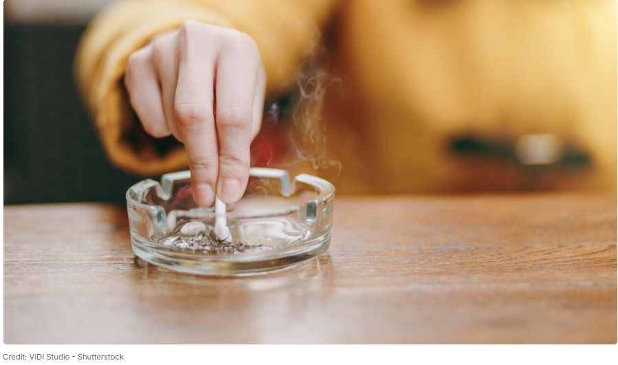 Picture of How to Get Rid of a Smoke Smell in Your New Home