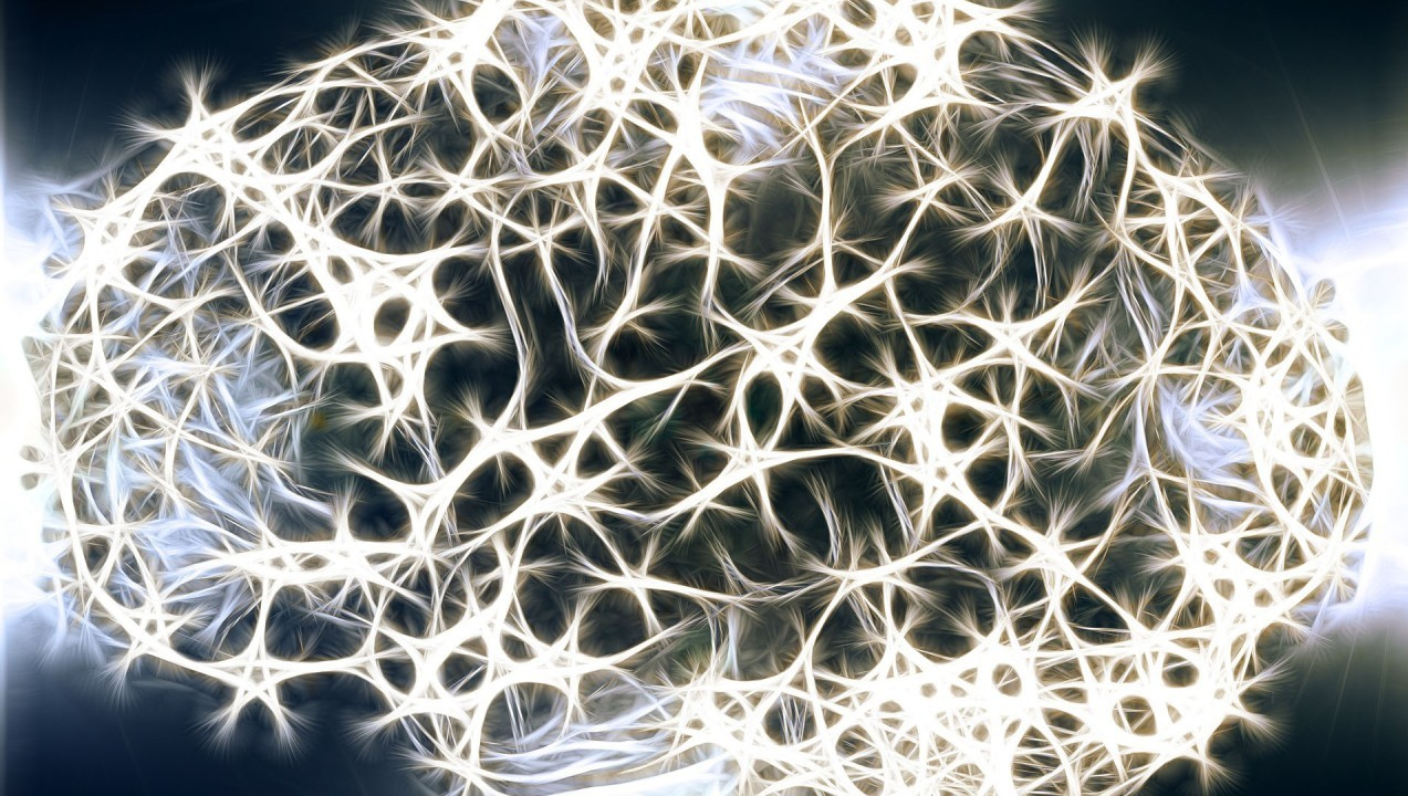 Picture of 5 Things You May Not Know About Your Brain