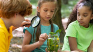 Picture of Sustainability Education: The Key to a Sustainable Future
