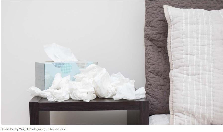 Picture of What You Should Clean in Your Home After Someone Gets Sick