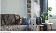 Picture of You Need to Clean Your Humidifier More Than You Think