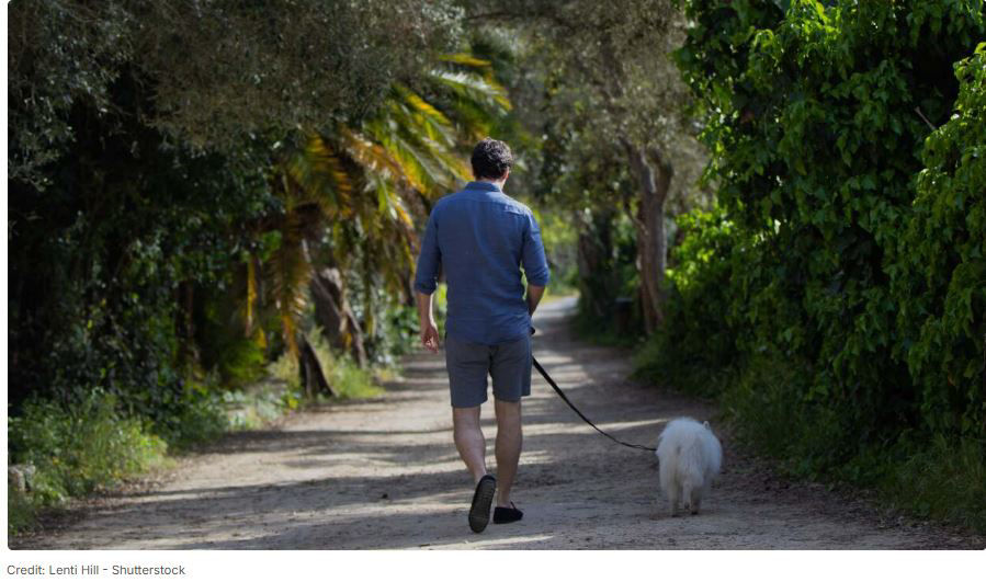 Picture of Strolling, It Turns Out, Is Good for You