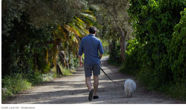 Picture of Strolling, It Turns Out, Is Good for You
