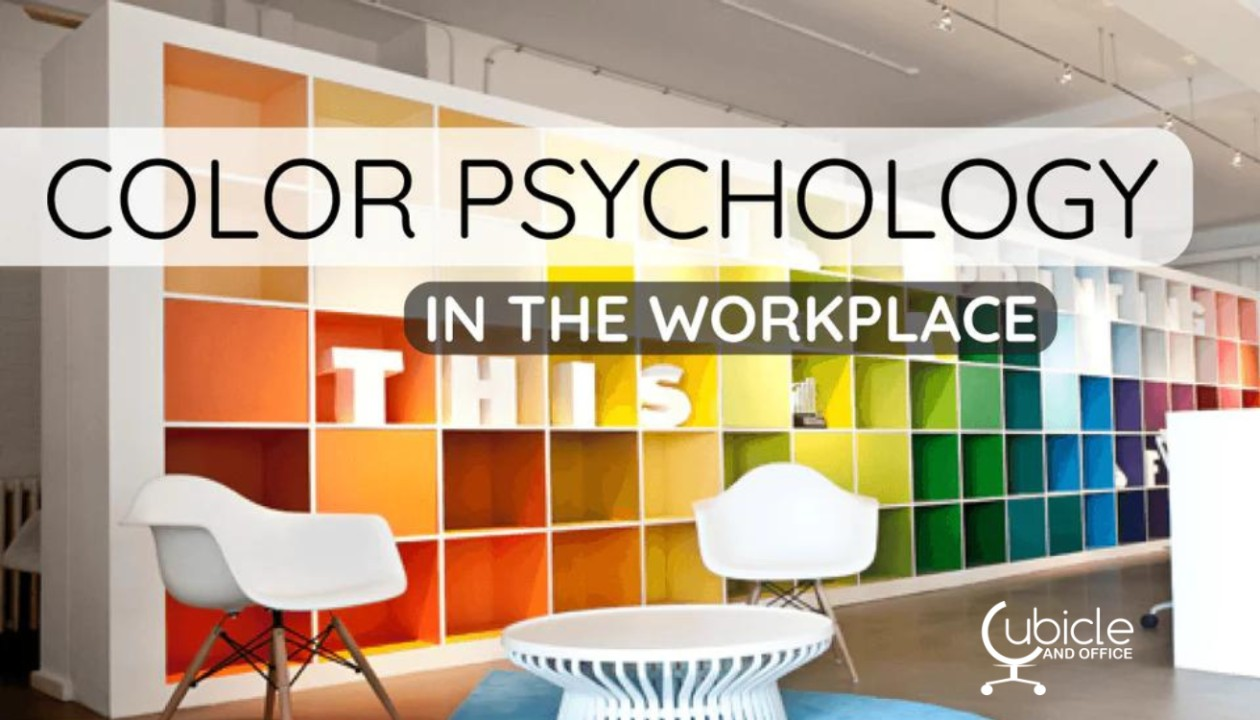 Picture of The Power of Colors in Office Design: Creating a Vibrant Workplace