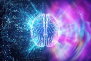 Picture of Brain and positive thinking: 3 essential aspects to embrace