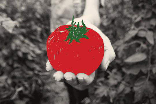 Picture of I’m a doctor. Here are 11 science-backed tips to help you eat healthier.