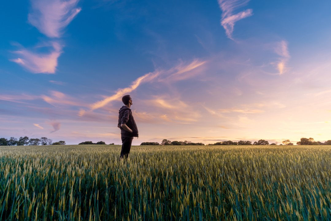 Picture of The Significance of Sustainability - Building a Green Future