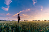 Picture of The Significance of Sustainability - Building a Green Future