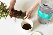 Picture of How-To: Pick a Planter for Your Plant