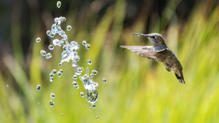 Picture of Why Slowing Down Is the New Productivity