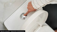 Picture of Why Do Some Toilets Have Two Flush Buttons?