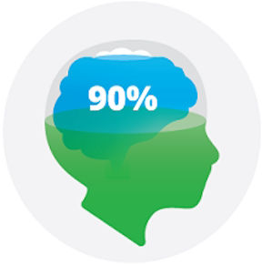 Picture of Brain Development