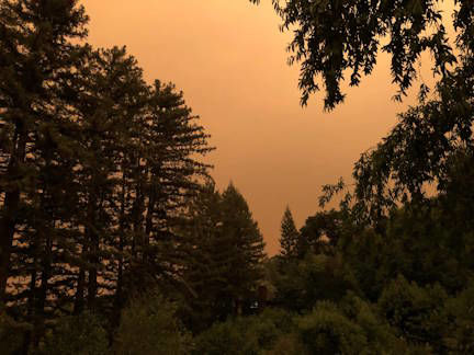 Picture of The AQI Dilemma: Is it Safe to Exercise?