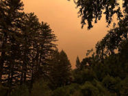 Picture of The AQI Dilemma: Is it Safe to Exercise?