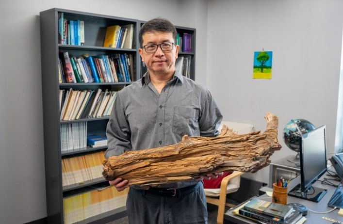 University of Maryland Atmospheric and Oceanic Science Professor Ning Zeng holds the 3,775-year-old log that is the subject of a new study in Science. Credit: Mark Sherwood, University of Maryland